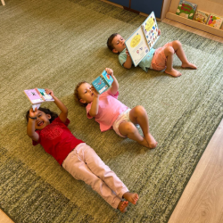 Welcome to the Fireflies book club!