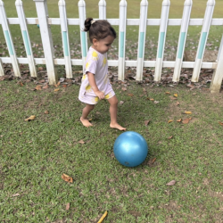 Laleh rounding up every ball she can find in the yard! 😂