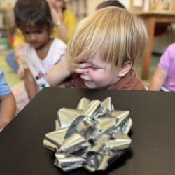 Max is trying his hands on the Mystery Box