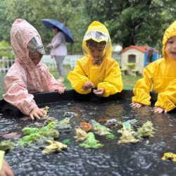 Rainy day fun with froggie friends!