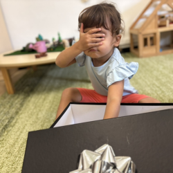 Reach in, feel and guess the object from  our mystery box!