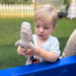 Finlay saved a shark