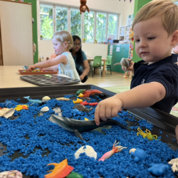 Finn enjoying the sensory tray!