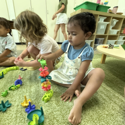 Malhar stacking flowers!