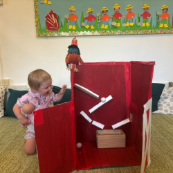 Ollie enjoying playing with our chicken coop!