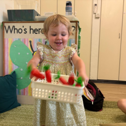 Ollie’s flying carrots!