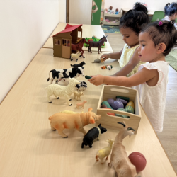 Skyla feeding veggies to the Farm animals!