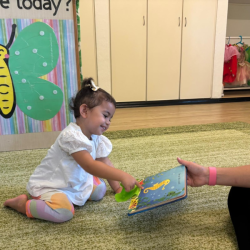 Skyla found a seahorse!