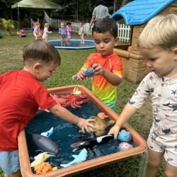 An exploration of ocean animals...