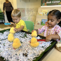 Catching bugs and feeding birds!