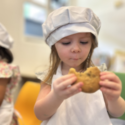 Chocolate chip cookie inspection.