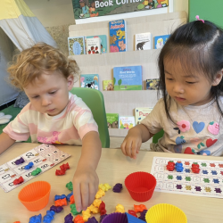 Counting and patterning with rainbow bears!