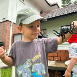 Hugo found a huge spider in the garden!