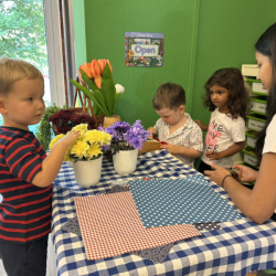 Noah wants to buy a flower!