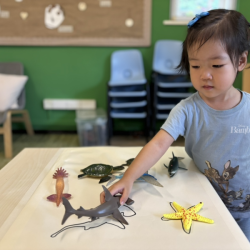 Constance dives deep into the sea of knowledge!