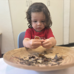 Crunch, crunch! Cru’s turning leaves into a masterpiece!