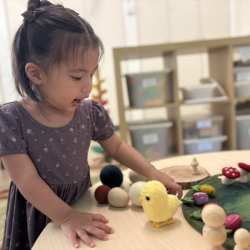 Harper exploring our farm.