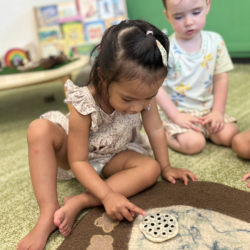 Harper’s egg-citing discovery! Peeking into the world of little froggies—what’s inside the eggs?