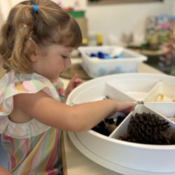 Immy-investigating-pine-cones-gumnuts-and-all-things-crunchy-