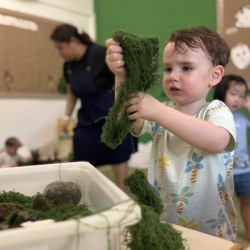 Liam dives into sensory play with rainforest animals.