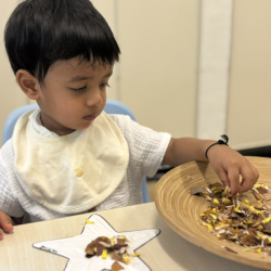 Nature meets sparkle as Shriyan decorates his dazzling star!