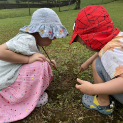 What are Rosie and Luca looking for?