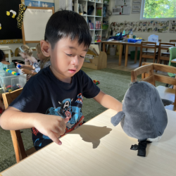 Lorenzo having fun with shadow play