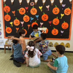 Luca confidently sharing about his show and tell .