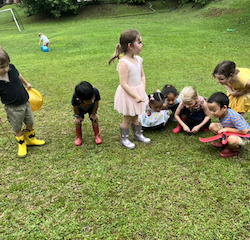 Yet another discovery by the busy bees in the garden