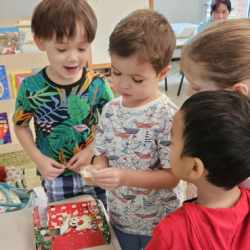 Busy bees excitedly using their Christmas advent calendar