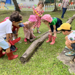 Busy bees observing a Centipede on the log.