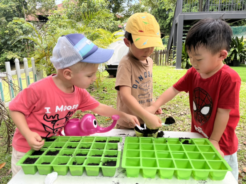 Rowan, Alex and Lincoln having fun planting sweet pea seeds.