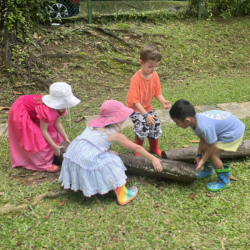 Busy Bees working together to move the log back at its place.