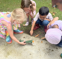 Busy bees buzzing with exploration.