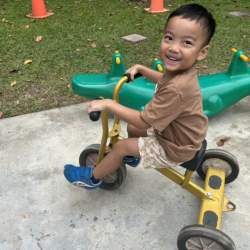 EI is having fun in the garden.