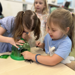 Esme and Izzy experimenting with the insects.