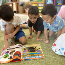 Javin, Enzo and Ei exploring the world of insects.
