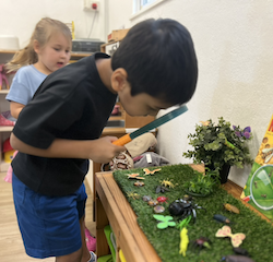Javin observing the insects.