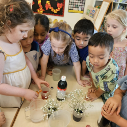 Little scientists having fun with flower colour changing experiment. 