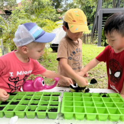 Rowan, Alex and Lincoln having fun planting sweet pea seeds.