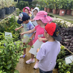 Busy Bees eagerly looking for insects
