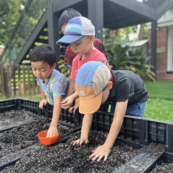 Ei , Rowan and Wilbur playing spinach.