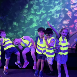 Glowing in the dark with jelly fishes.