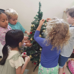 Our little tree in class.