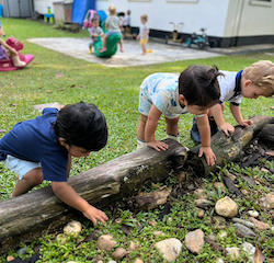 Aarav, Milan and Leo looking for rocks!