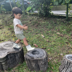 Milan walking along the logs.