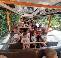 So many animals to see!