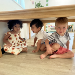 Una, Milan and Archer under the table!