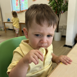 How is the Lemon Luca!?