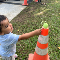 Kavi found an egg.